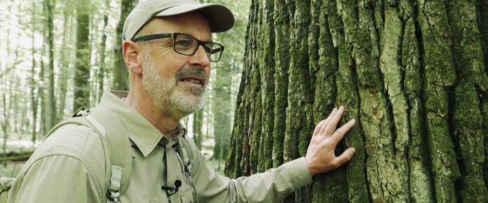 Peter Wohlleben – Das geheime Leben der Bäume