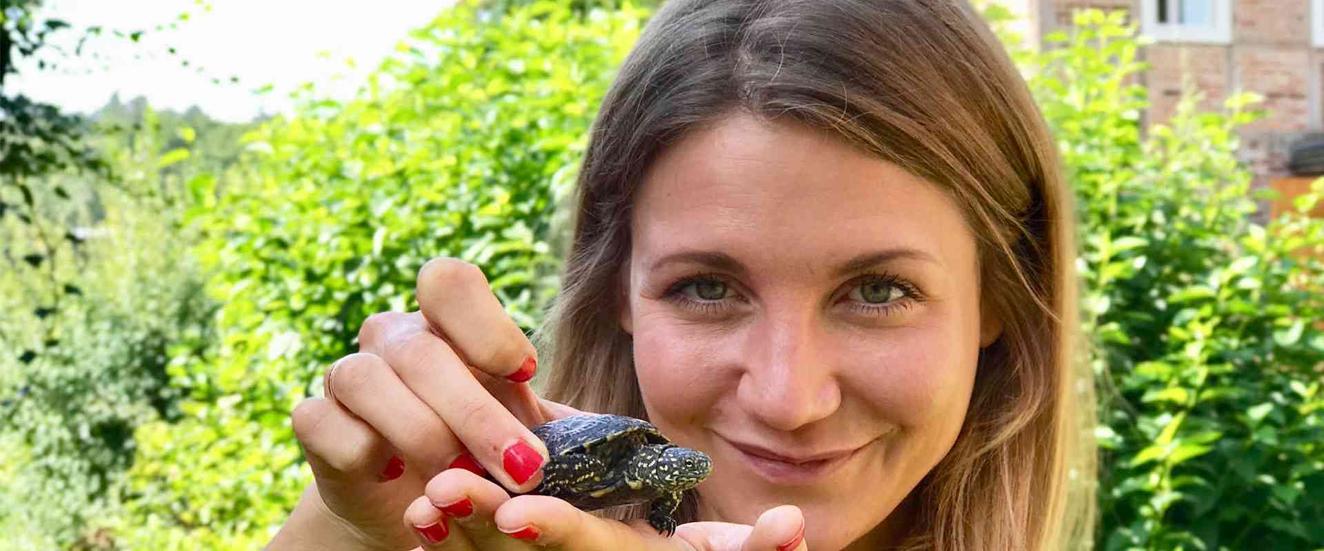 Neuneinhalb: Schutz für Schildkröten